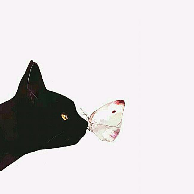 随缘的小机灵鬼