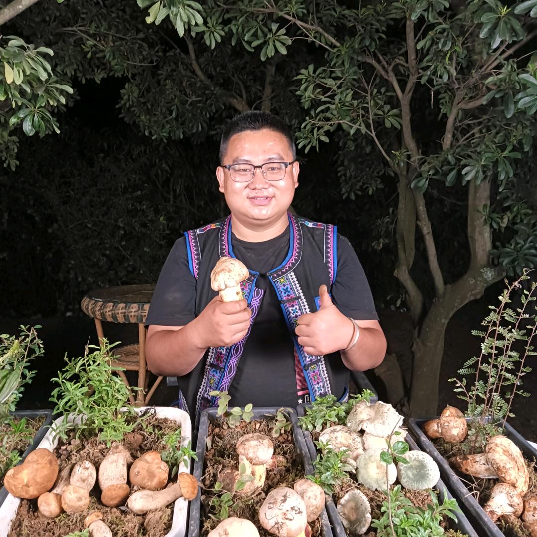 采野生菌的阿胖