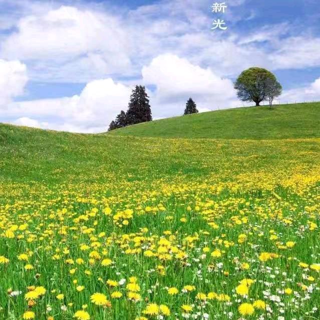 🚬᭄ཽ࿆简单٭大叔࿐