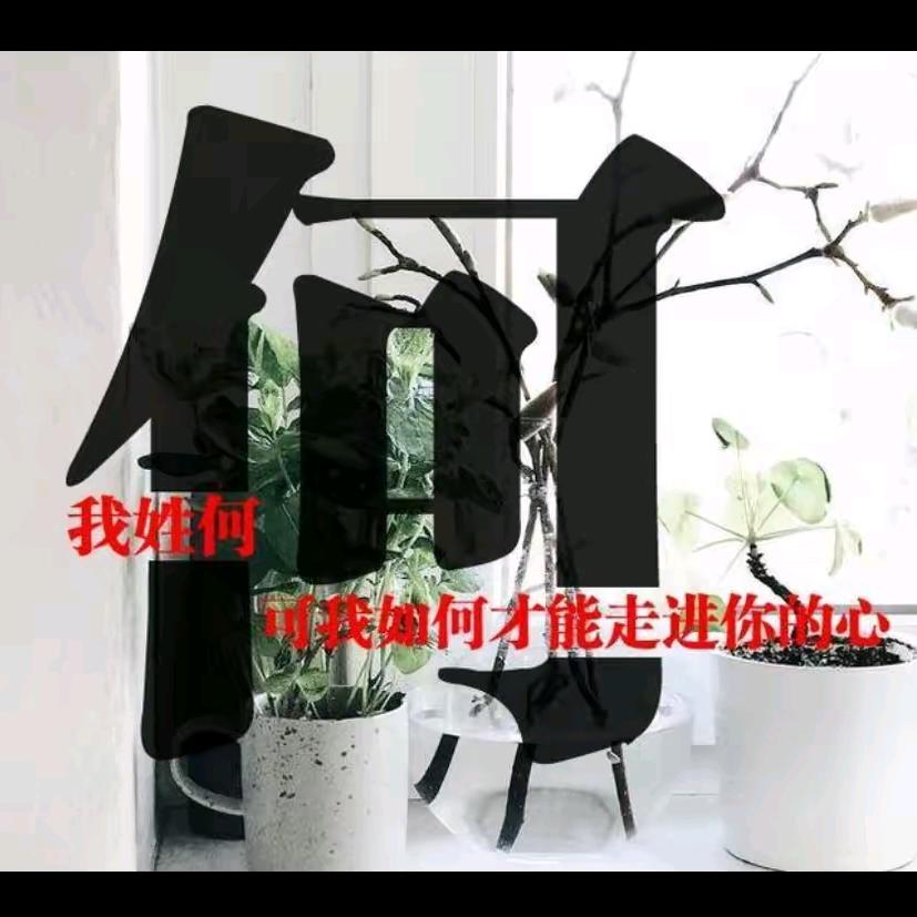 何萍