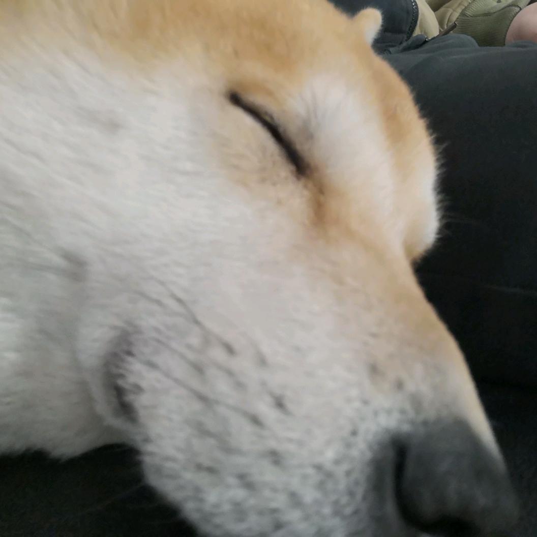 有所谓。