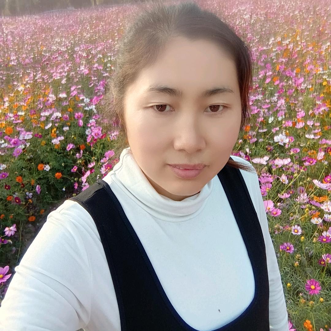 灰阑