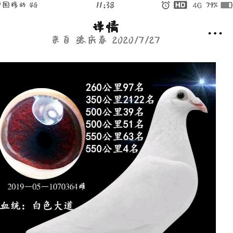 用户张庆国