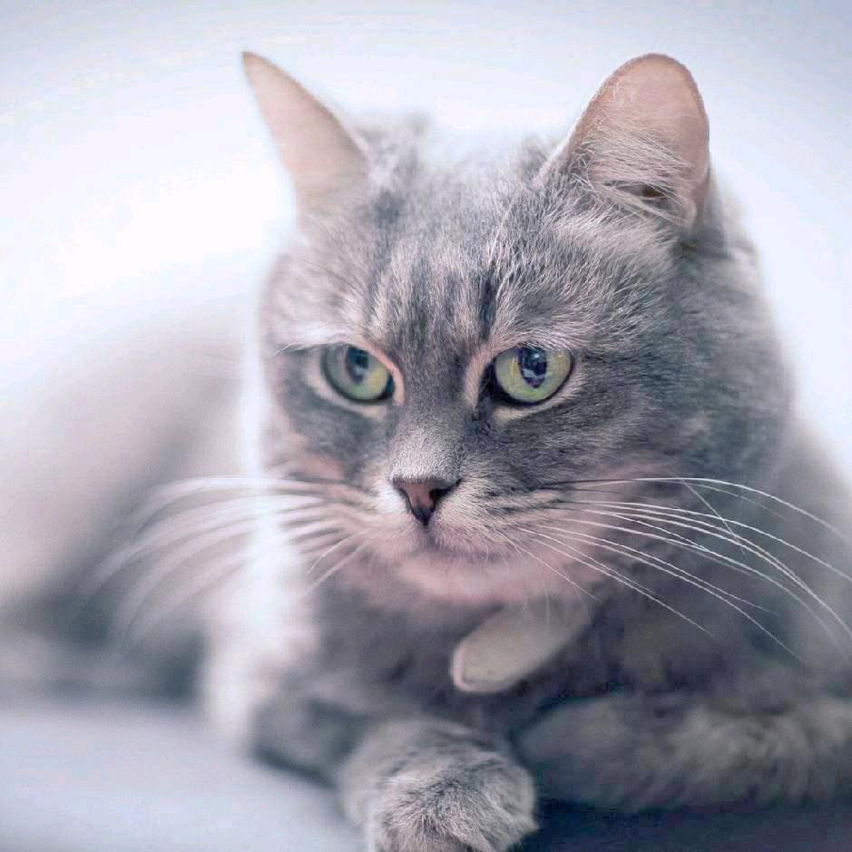 粤通钢化玻璃叶厂