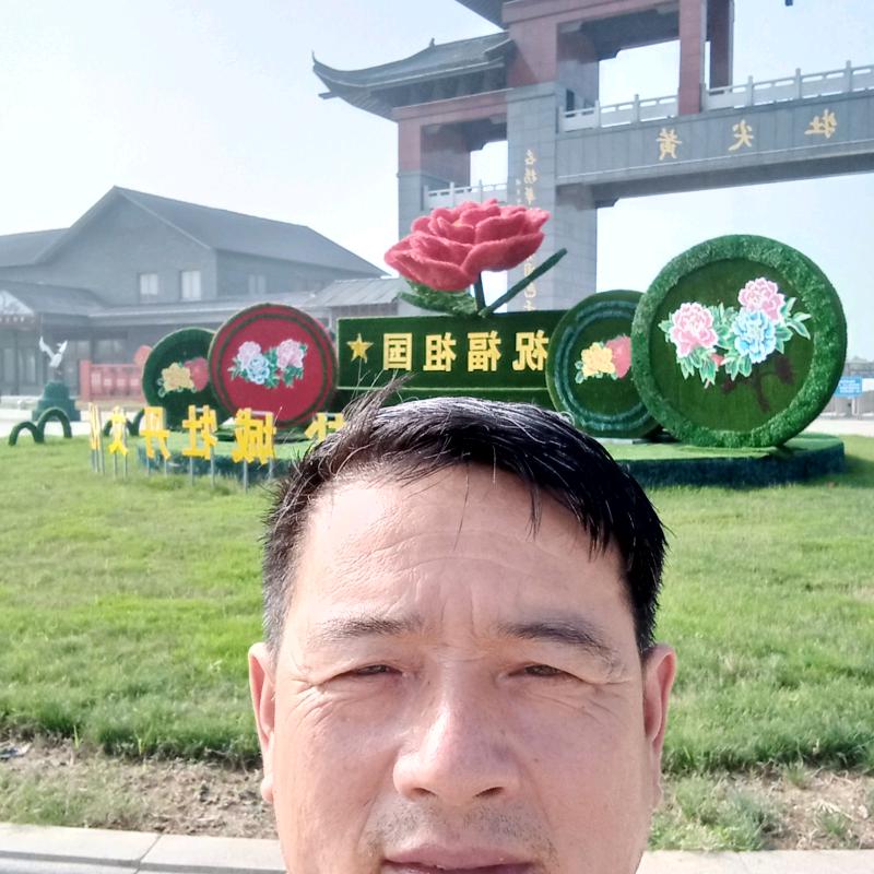 也许
