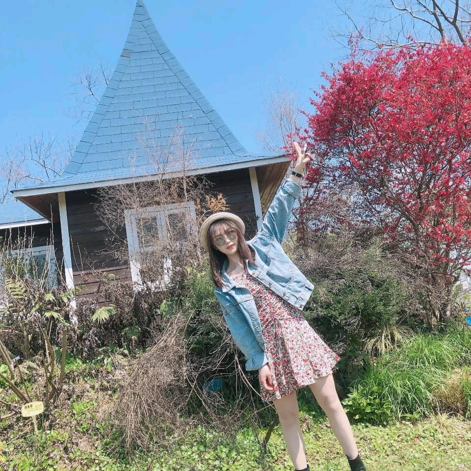 小九