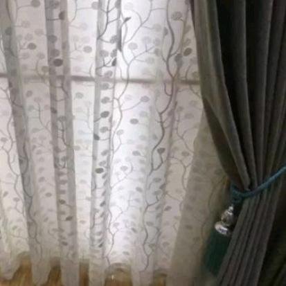 随影随行