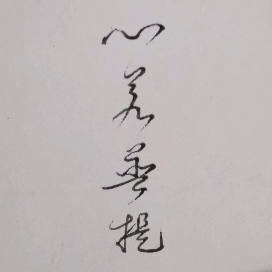 🌺心若菩提🌺（拒私聊）
