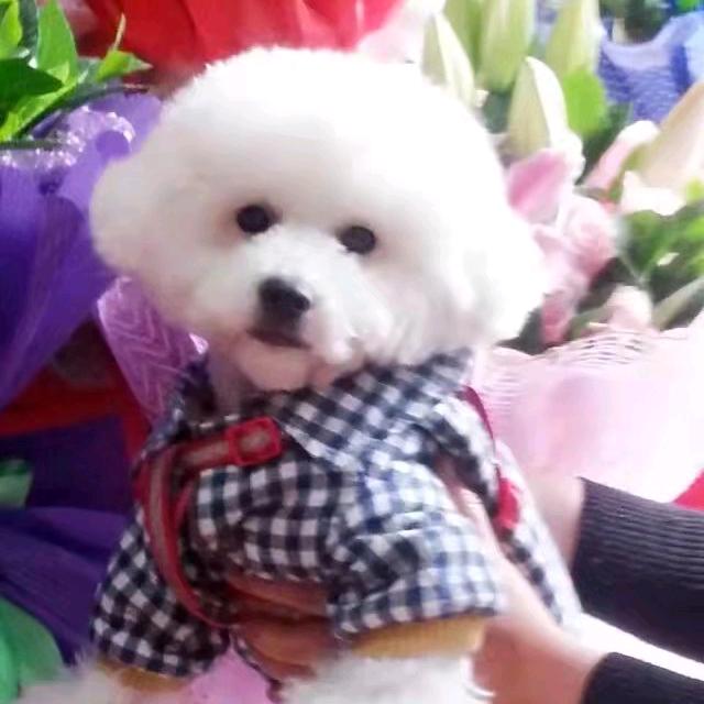 坤（勿连赞！拒绝私聊与合拍）纯属娱乐
