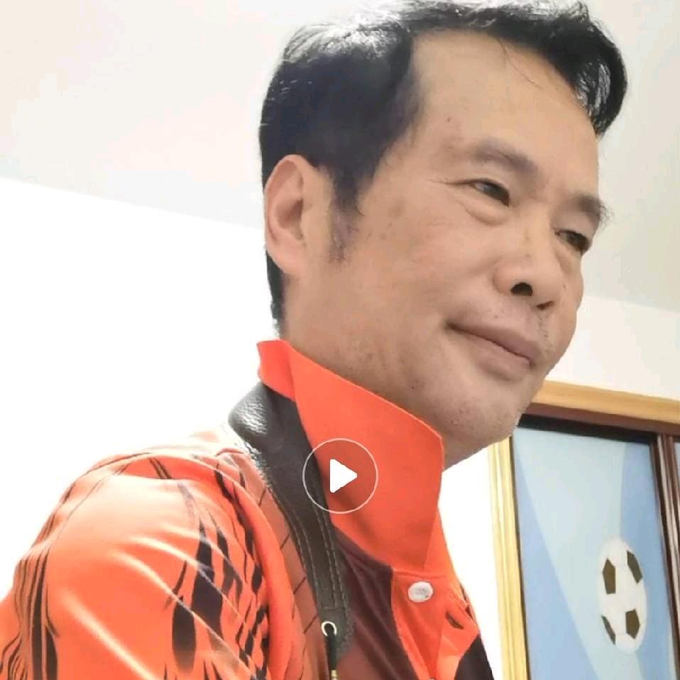 猪猪侠（熊）