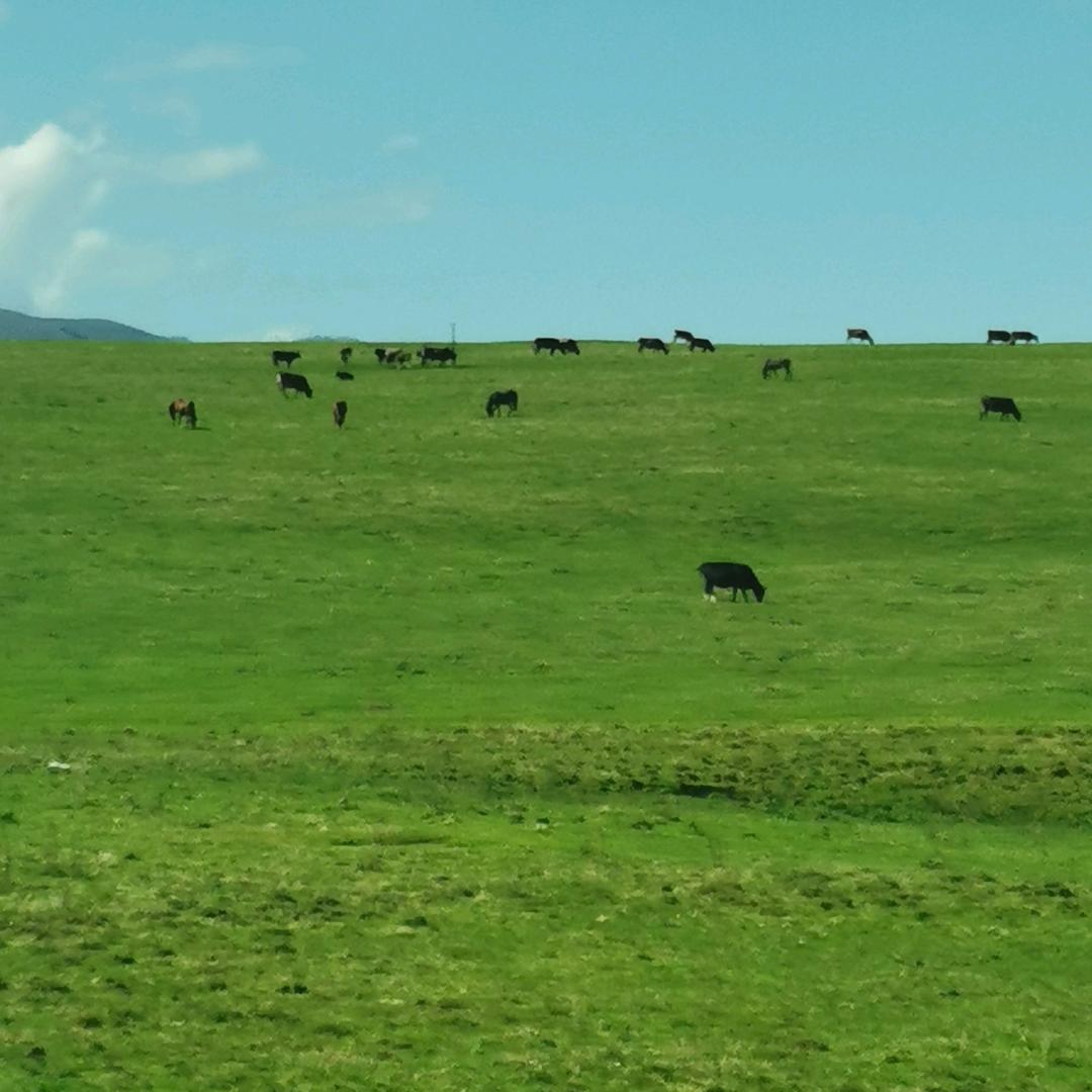 用户4535601409240影子