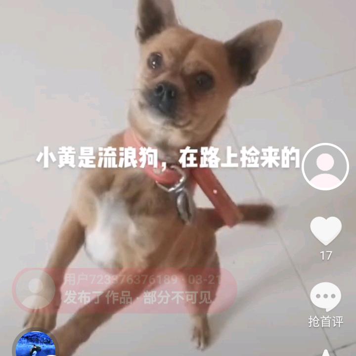 诚信 门窗