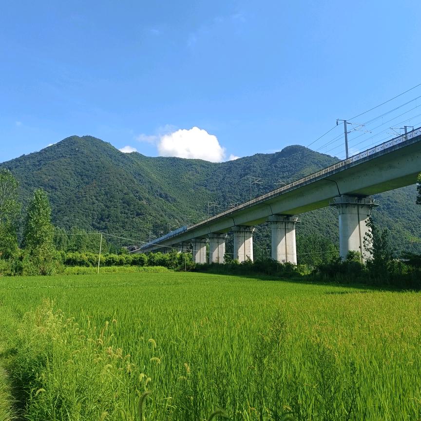 林哥8901