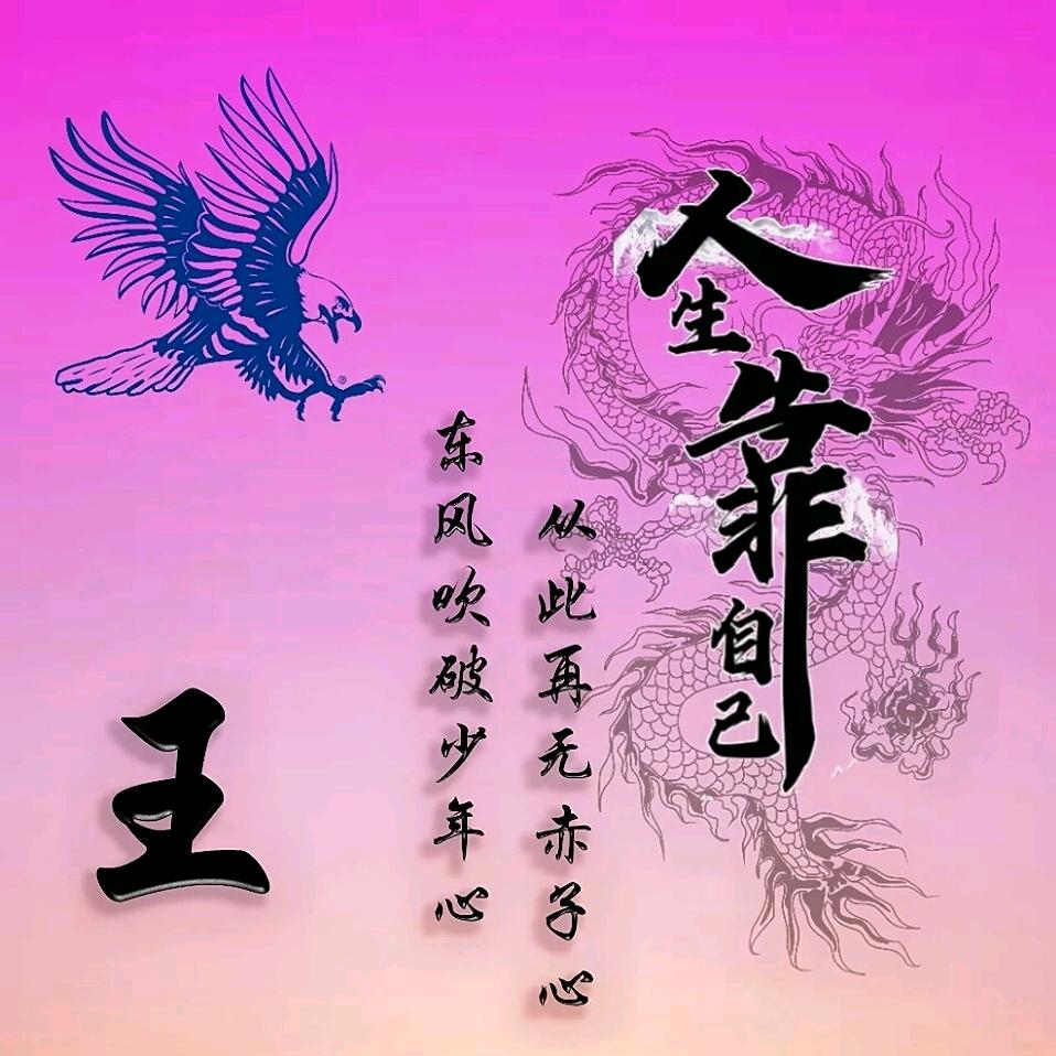 利德尔药业王卫东