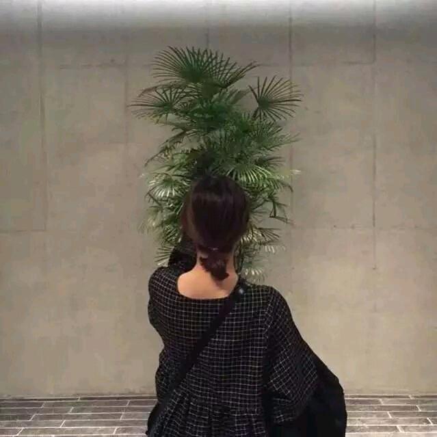 绿茸茸