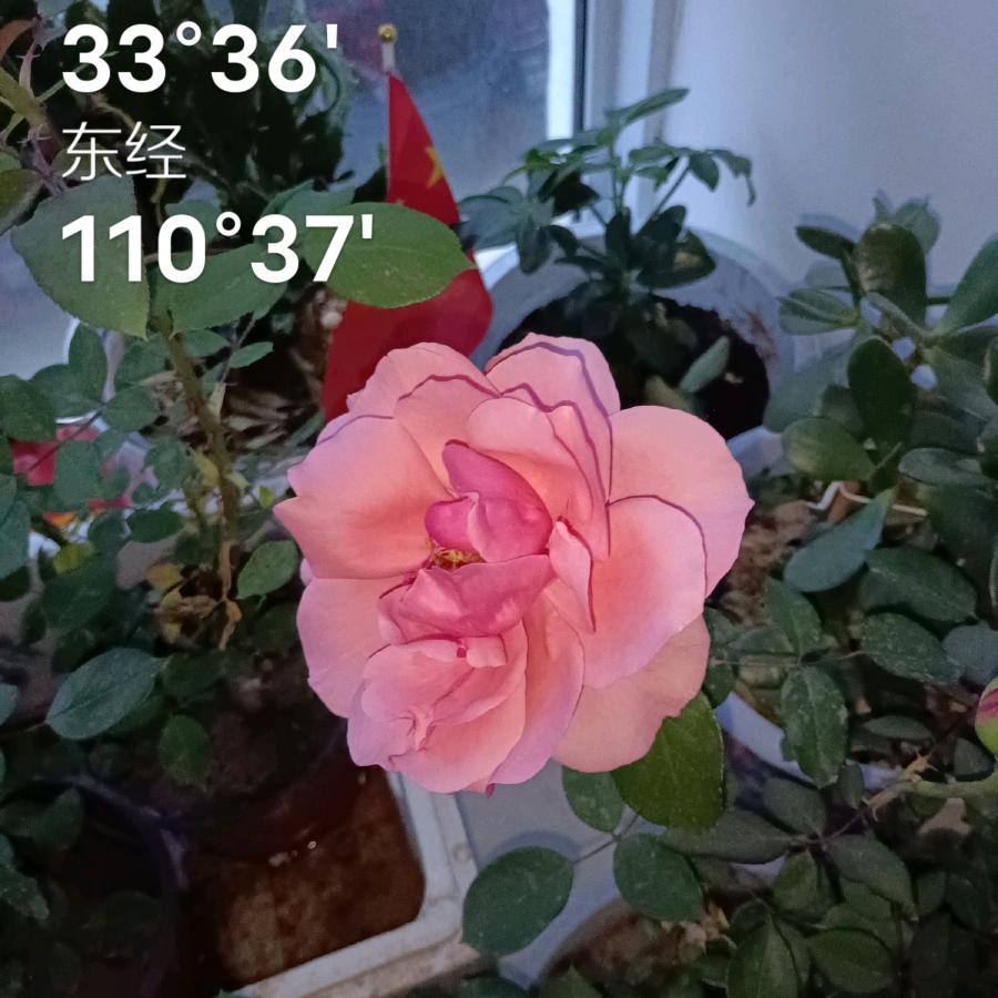 一生有你不后悔
