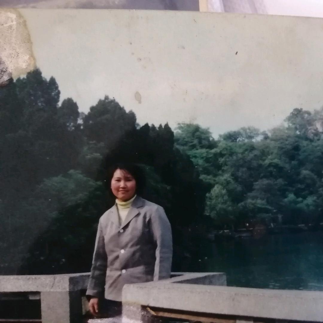 阳光夏天
