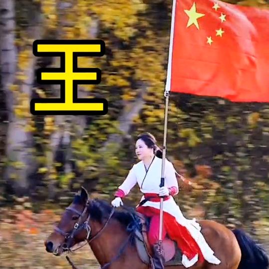 王哥8397028980657