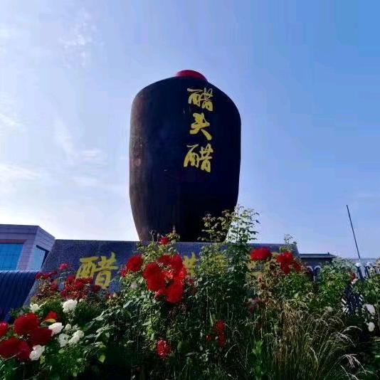 醋头醋