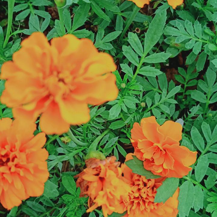 瘦了时光、肥了思念