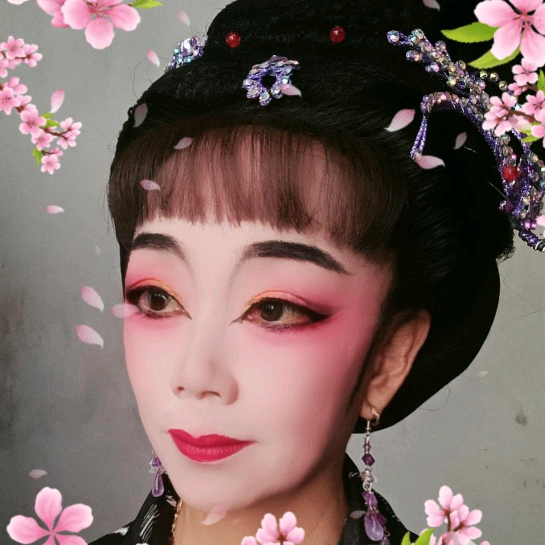 黄梅戏小小鸟