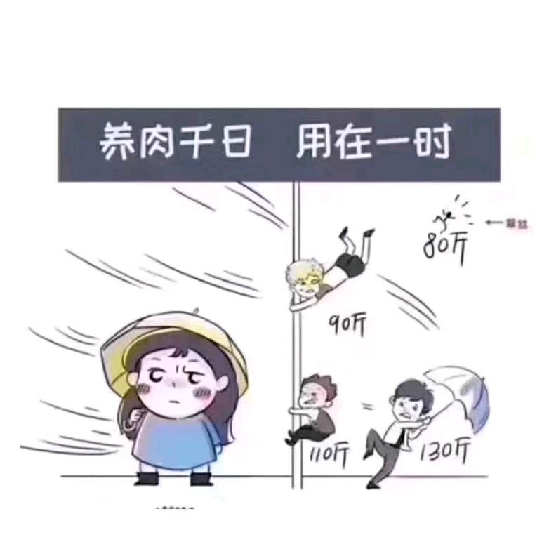 哲丶