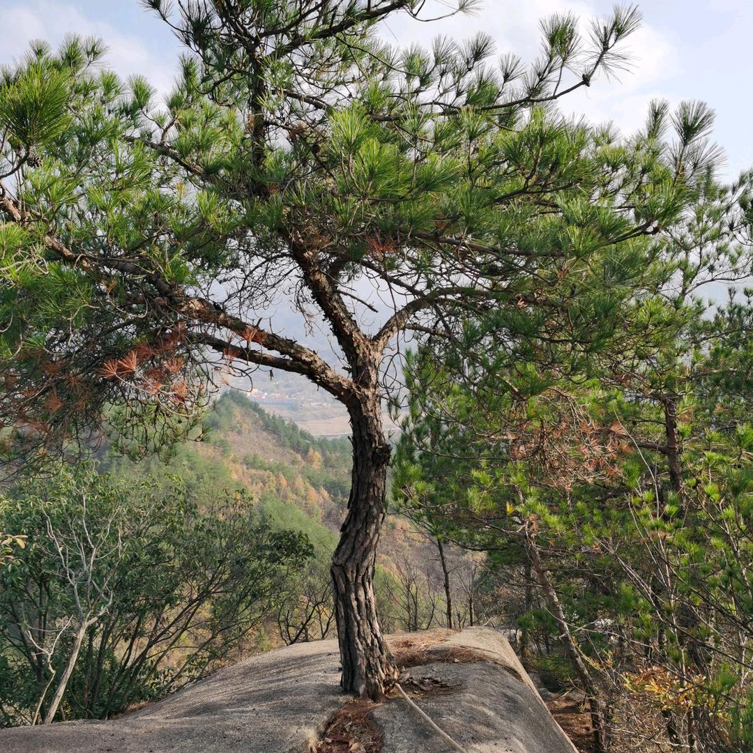 钱明宝