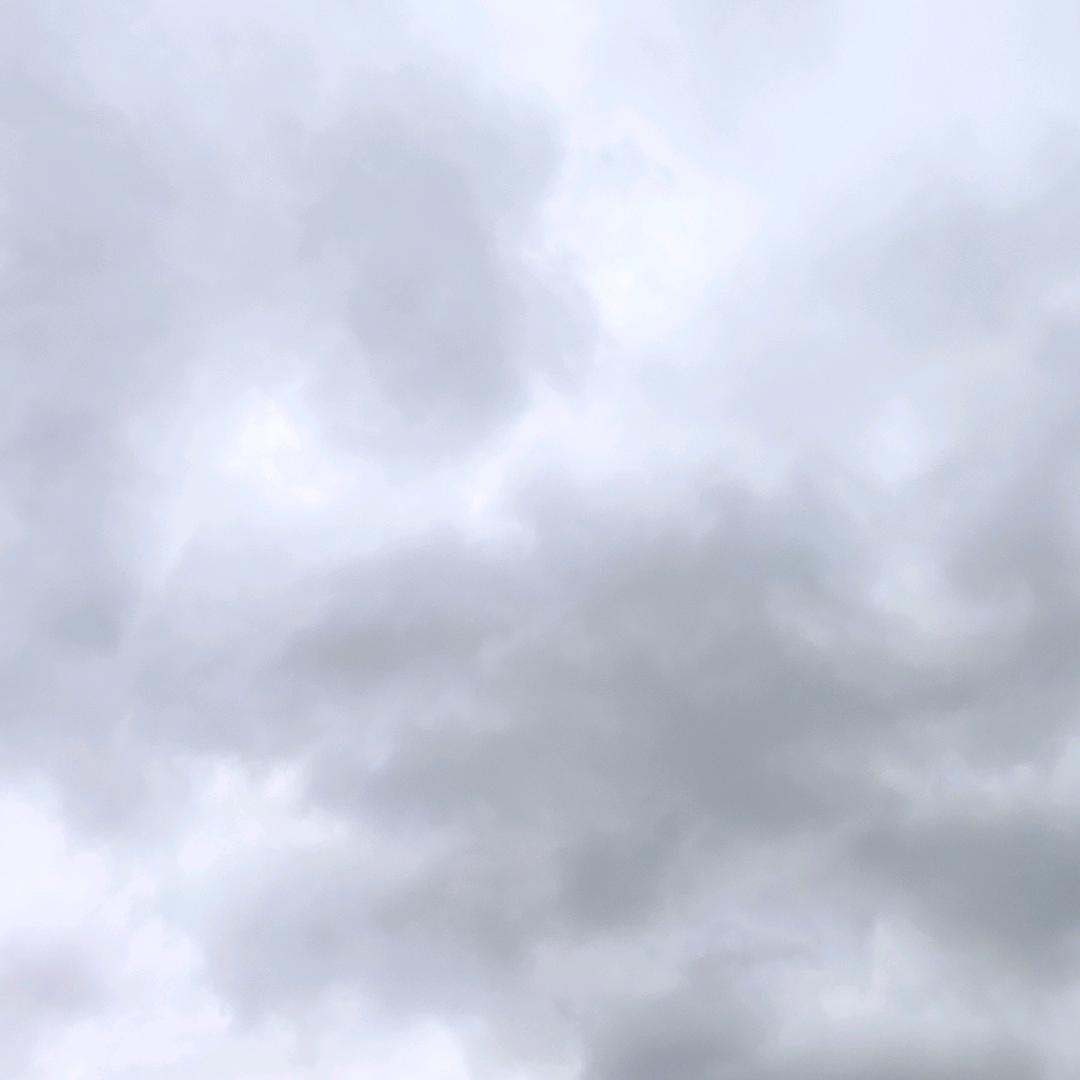 东方蜜