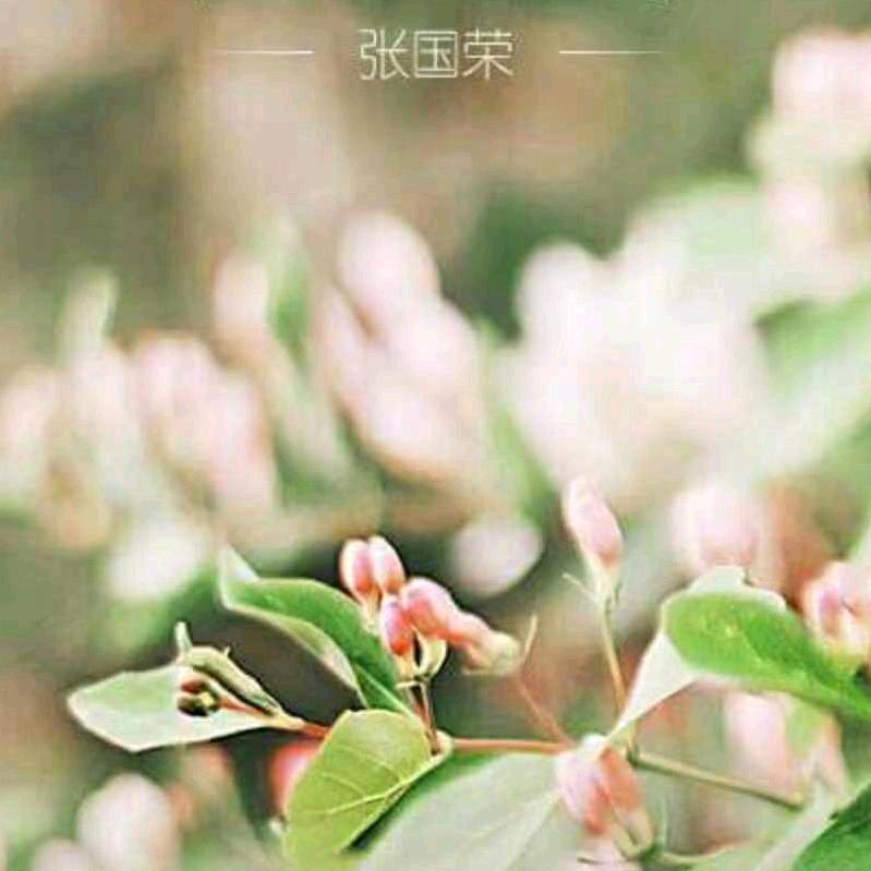梦想成真