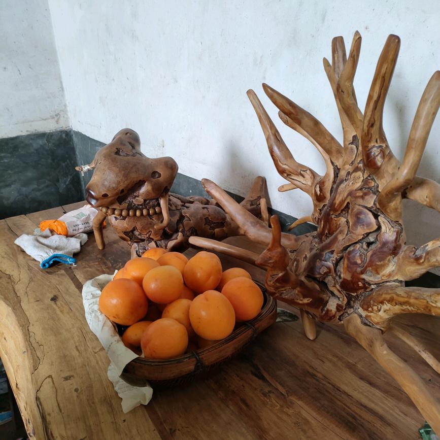 伸缩枪……陈室酉