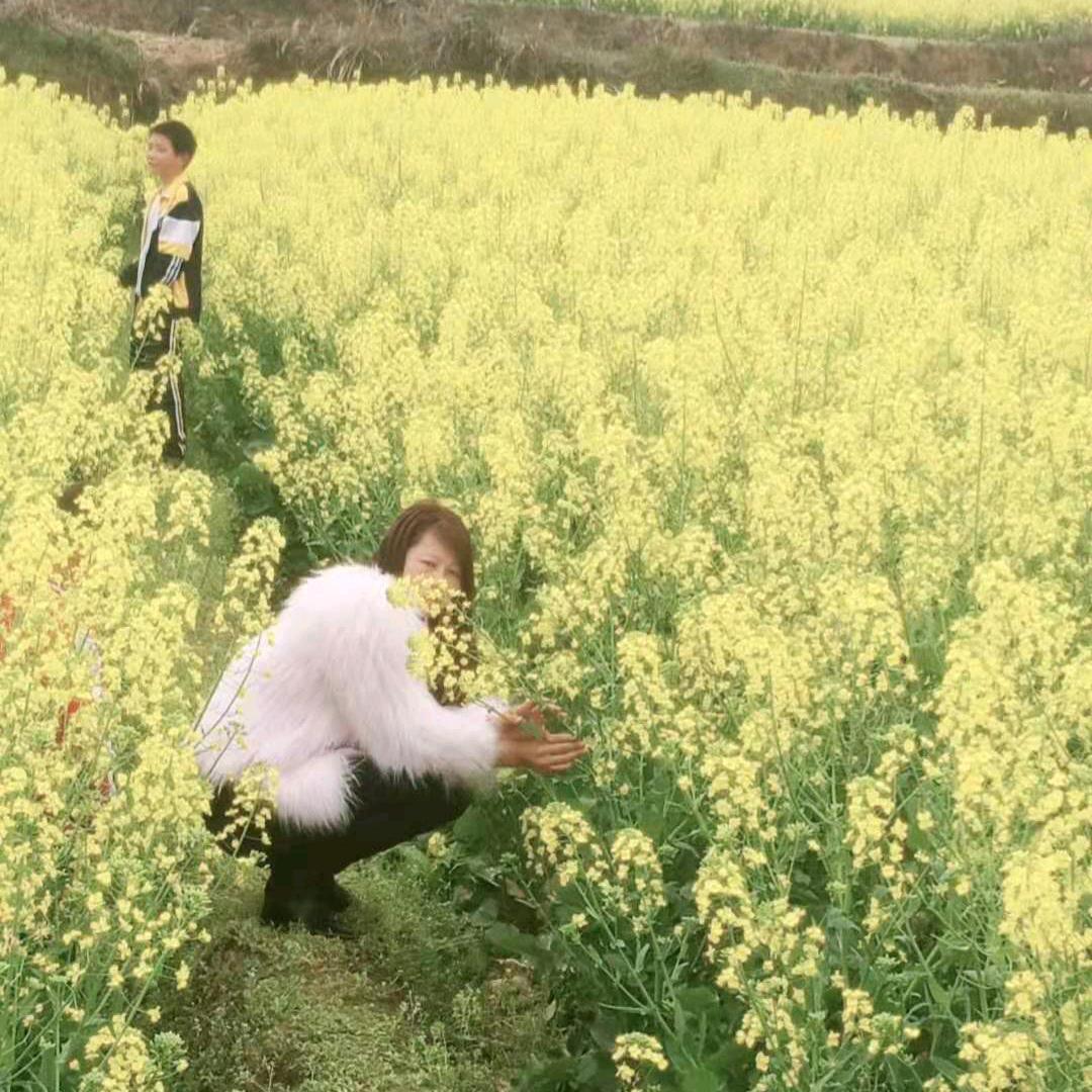 天天开心