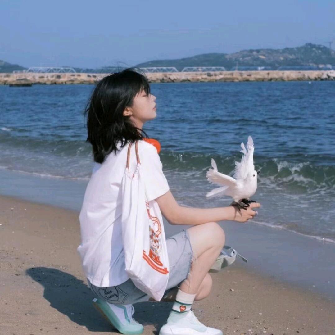 锅锅的快乐源泉