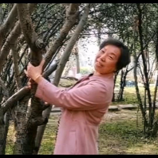 何建琼