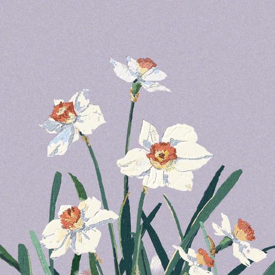 紫色小发