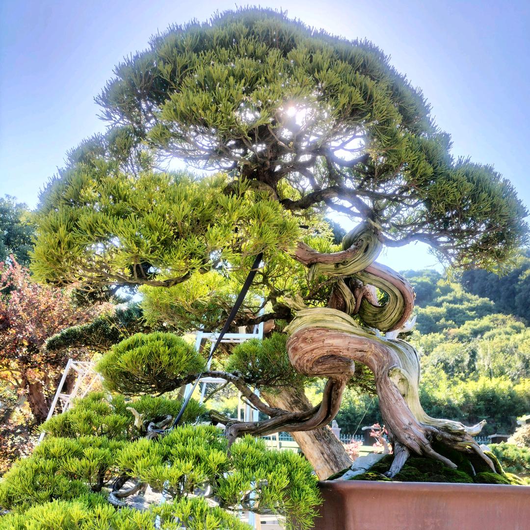 满满