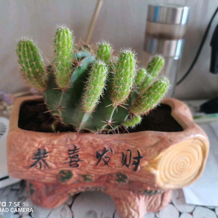 挣钱挣钱加油干，