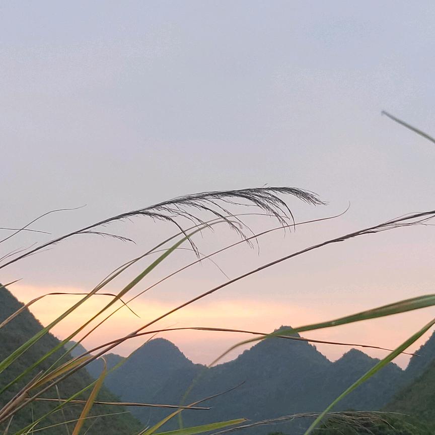 小西