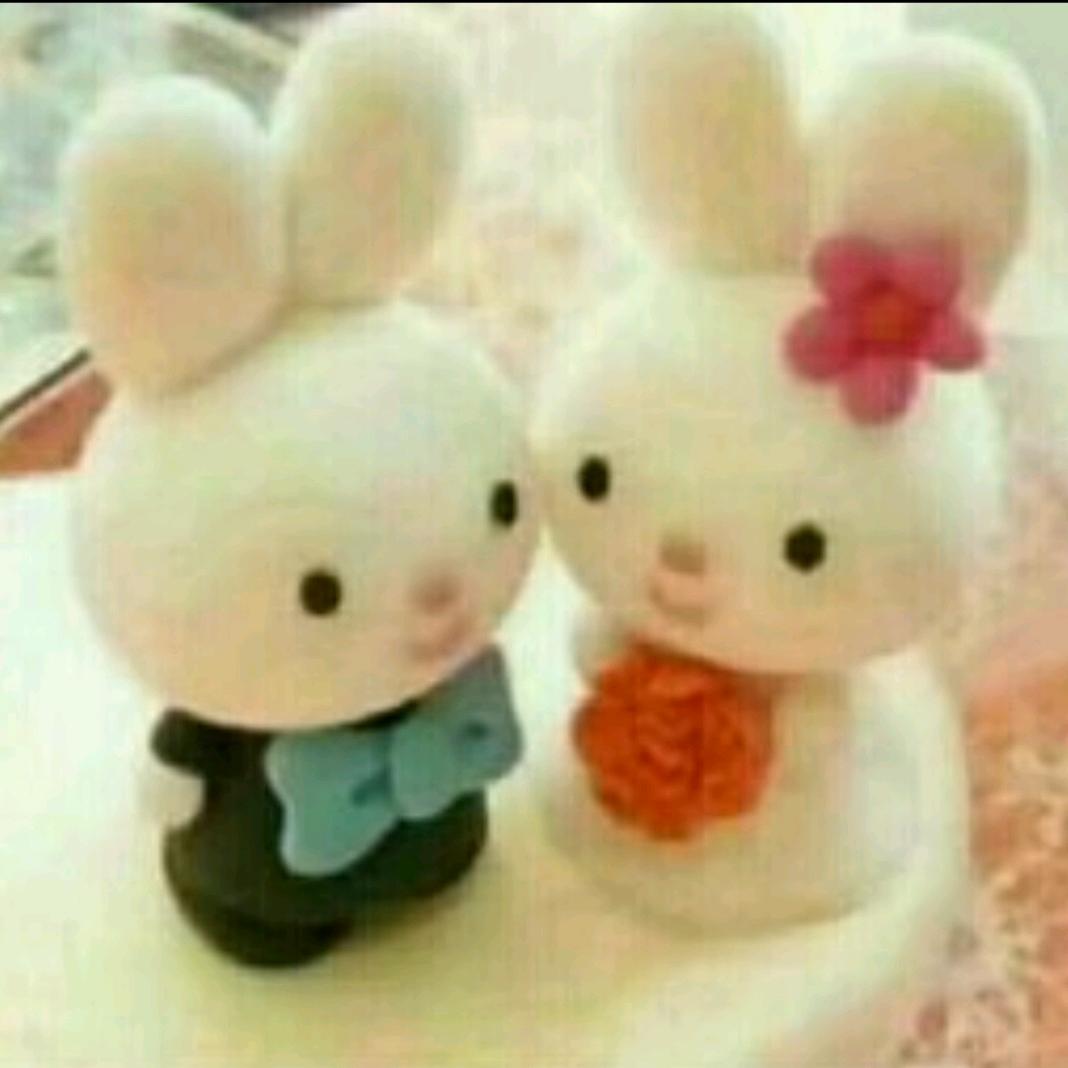 ♥晓晓♥