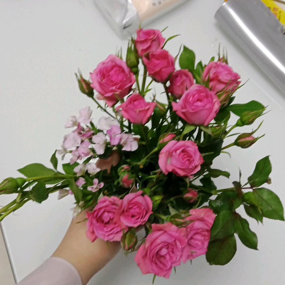 五月枙子花