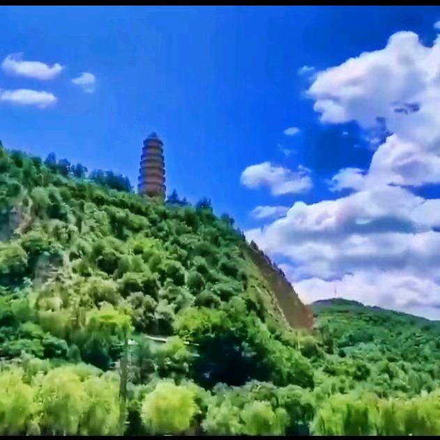 毛毛LM