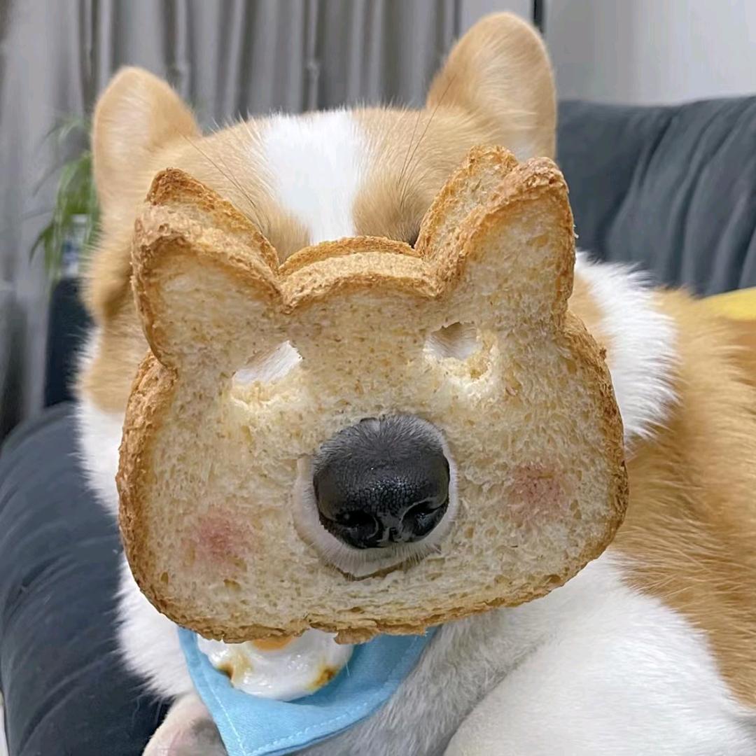 一叶知秋