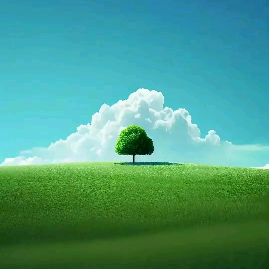 青竹