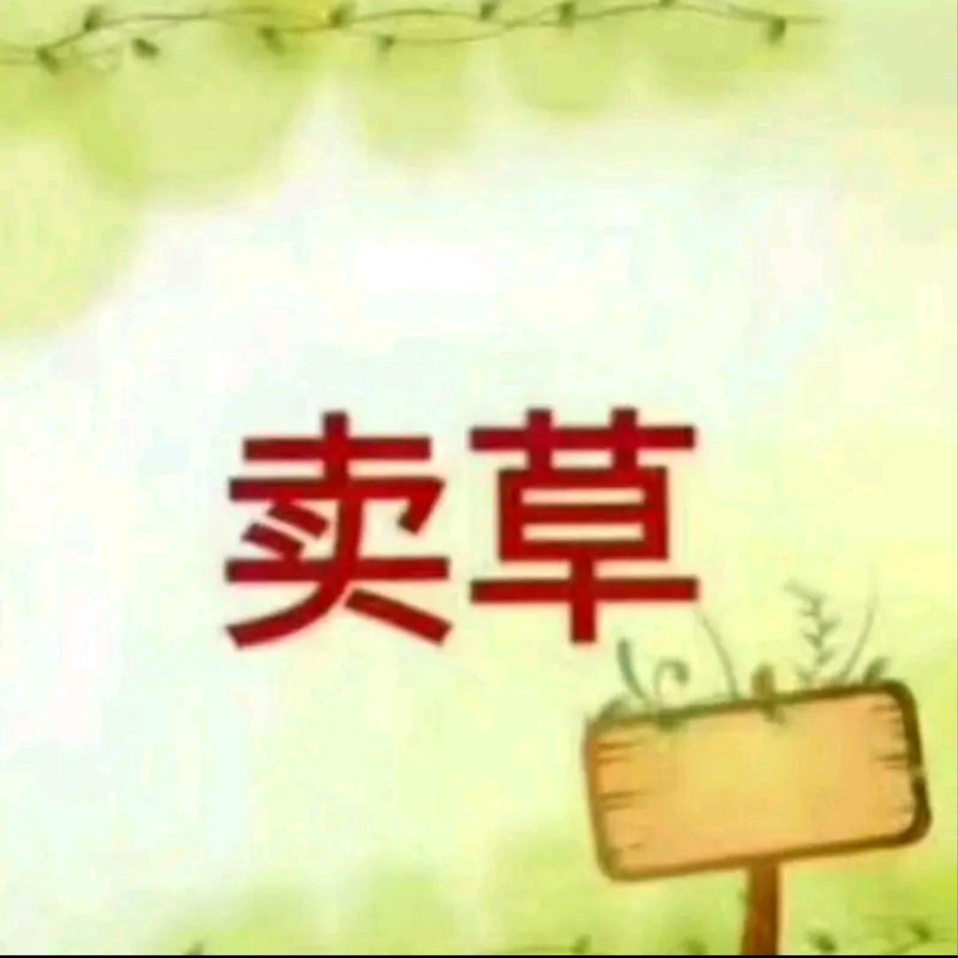 《平遥》八方草业