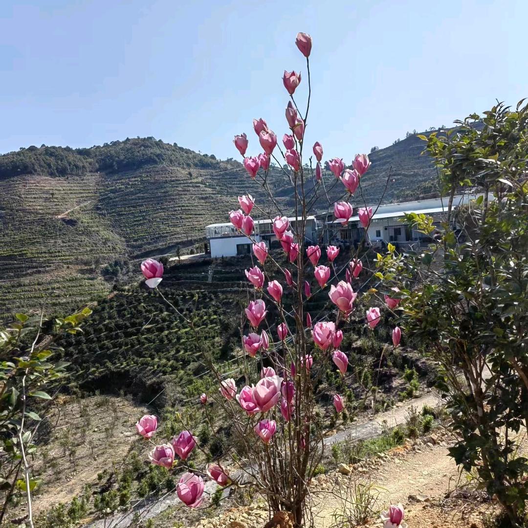 东进人力  黄贺彬