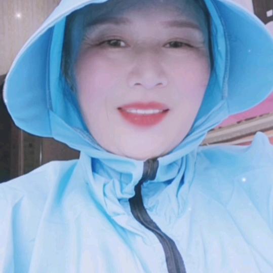 老燕子
