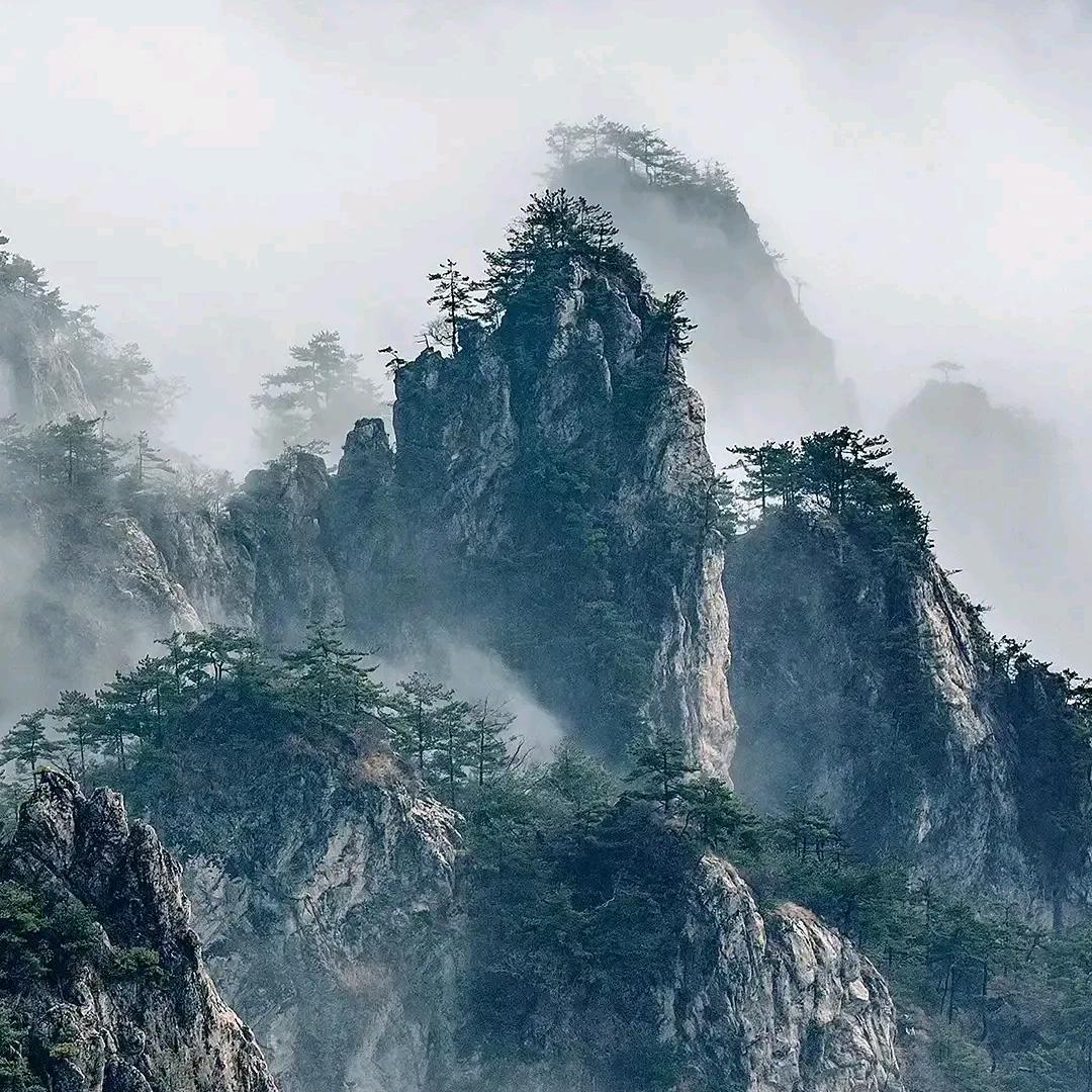 半山草堂
