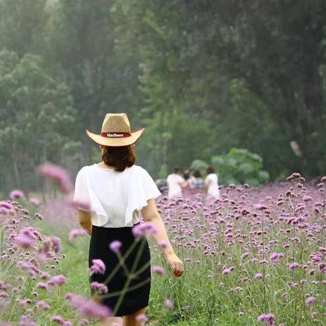 一万种可能