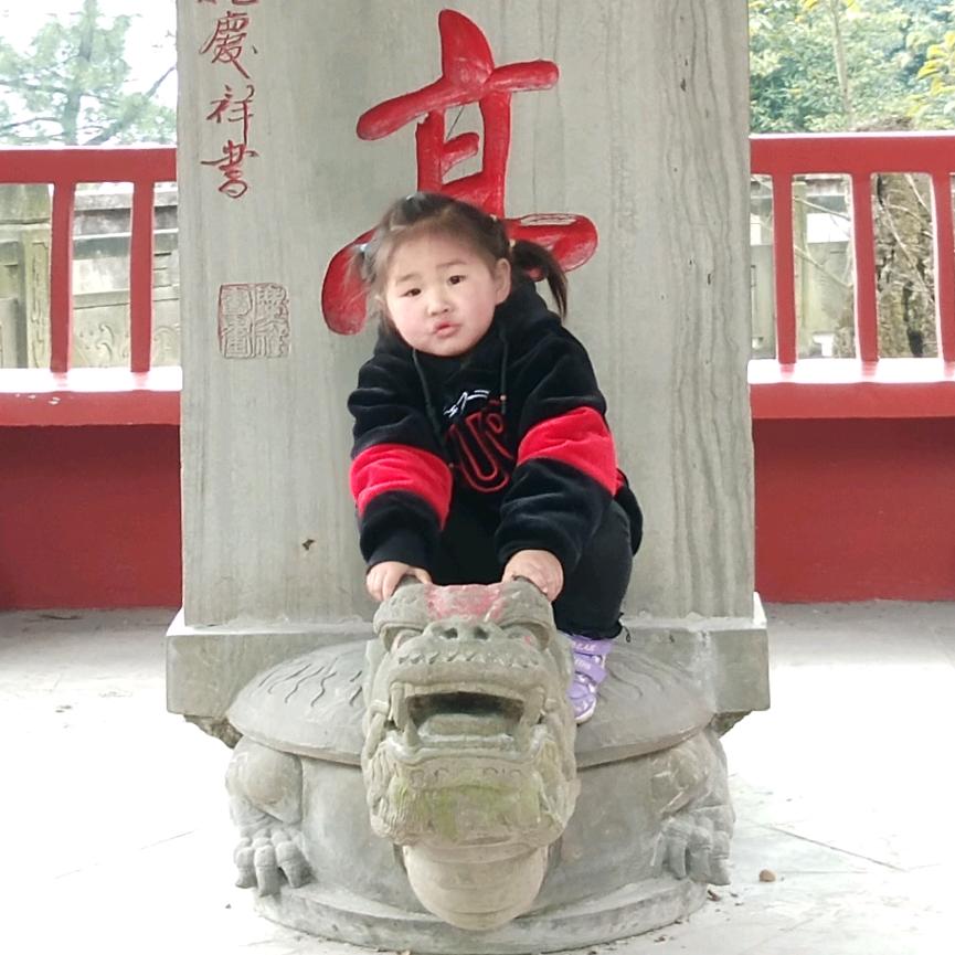 漂泊人生