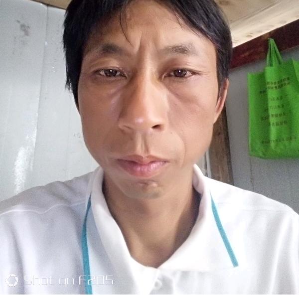 东山在起