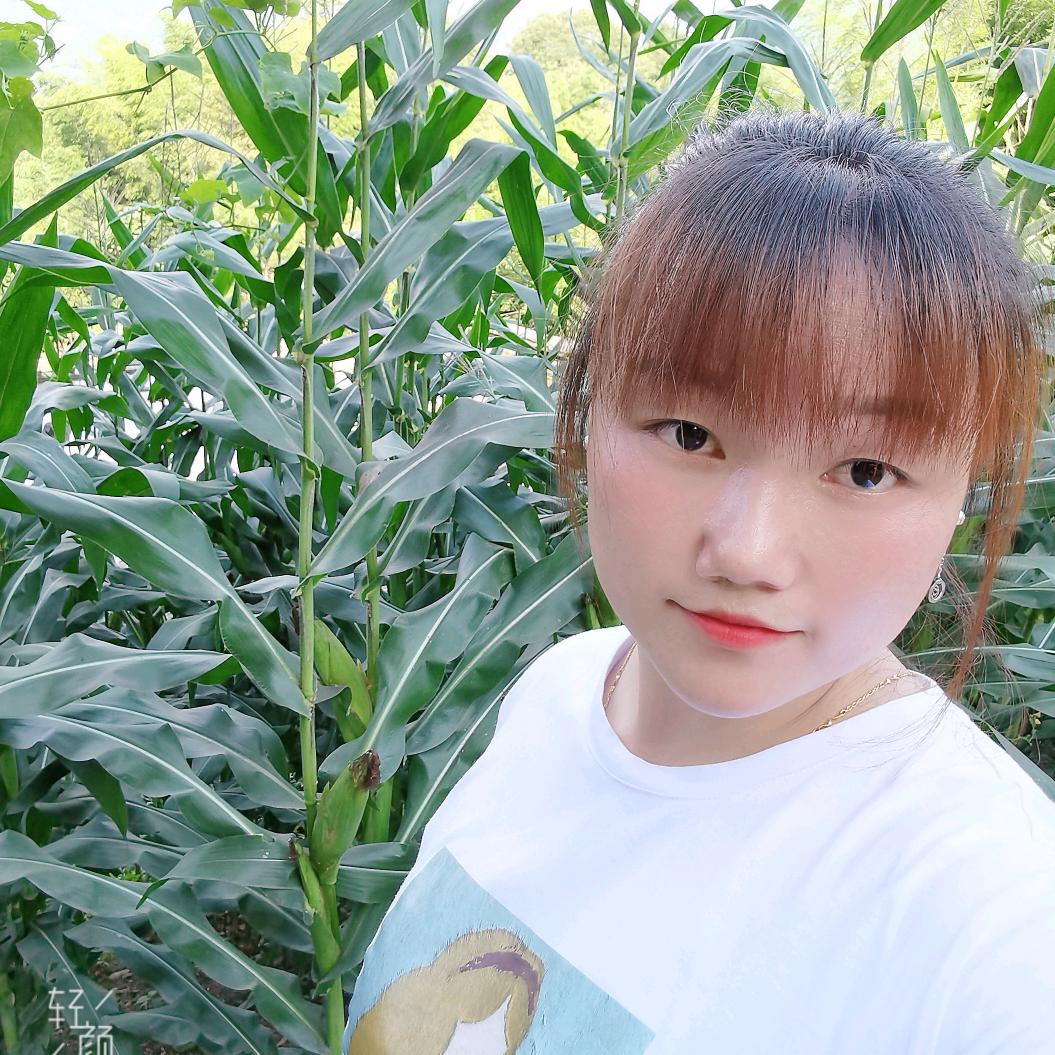 燕子